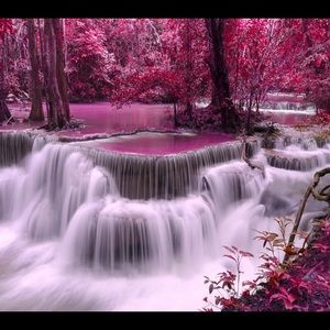 Meet your Posher, Jamal